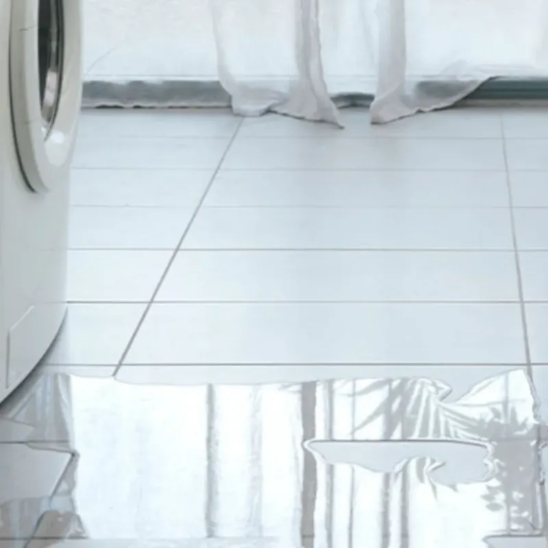 Appliance Leak Cleanup in Nemaha County, NE