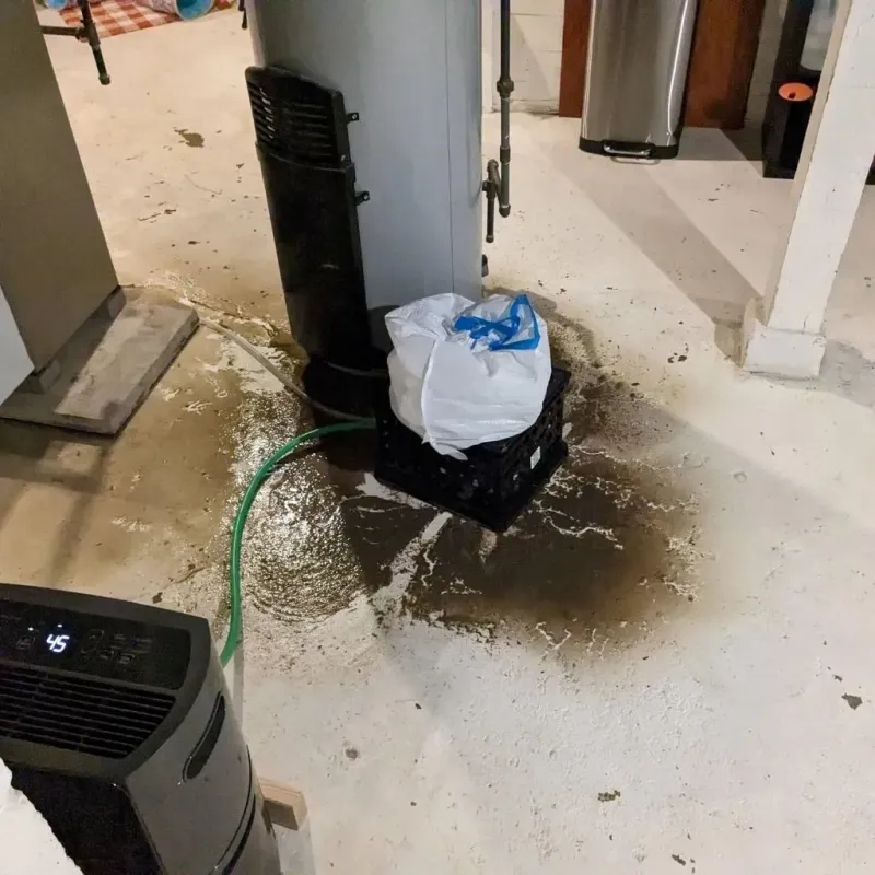 Sewage Backup Cleanup Service in Nemaha County, NE